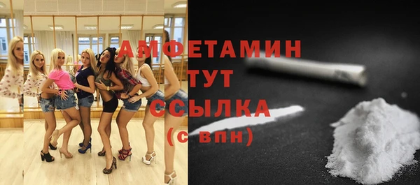 твердый Новозыбков