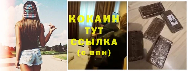твердый Новозыбков