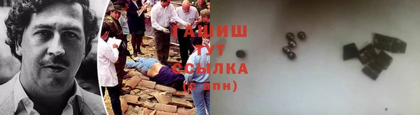 твердый Новозыбков