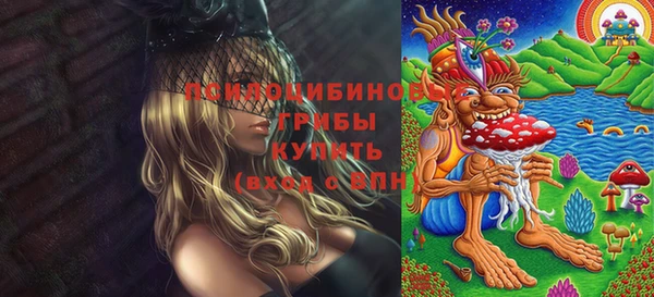 МДМА Новодвинск