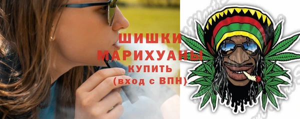твердый Новозыбков