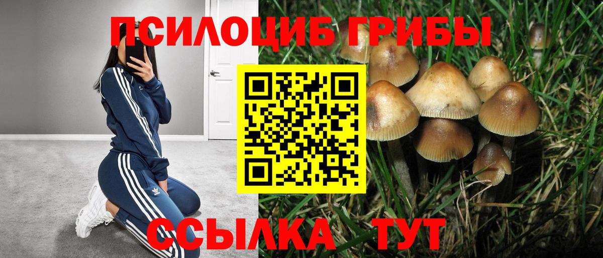 Галлюциногенные грибы прущие грибы Жуковский